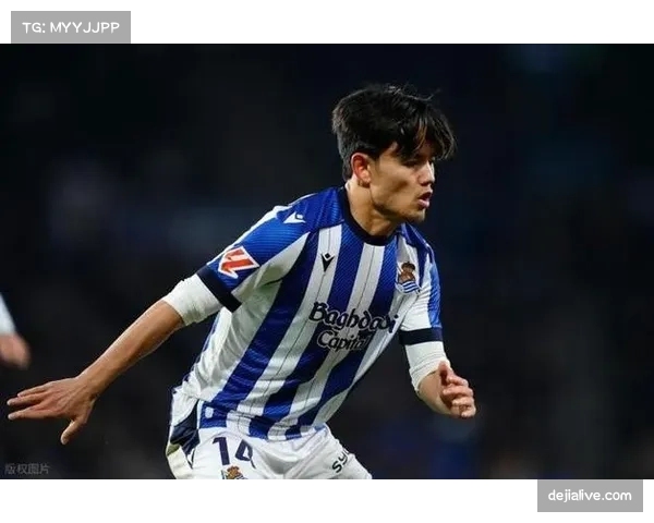 针对球员的种族主义辱骂事件后续，DFB对涉事球迷组织提起诉讼